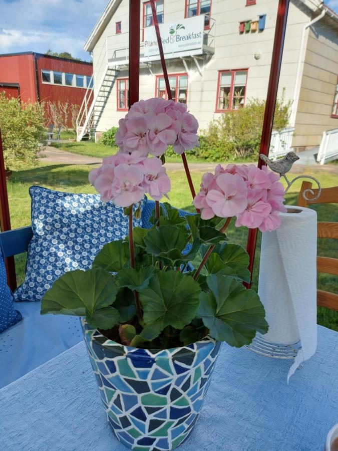 Pilane B&B Langekarr 외부 사진
