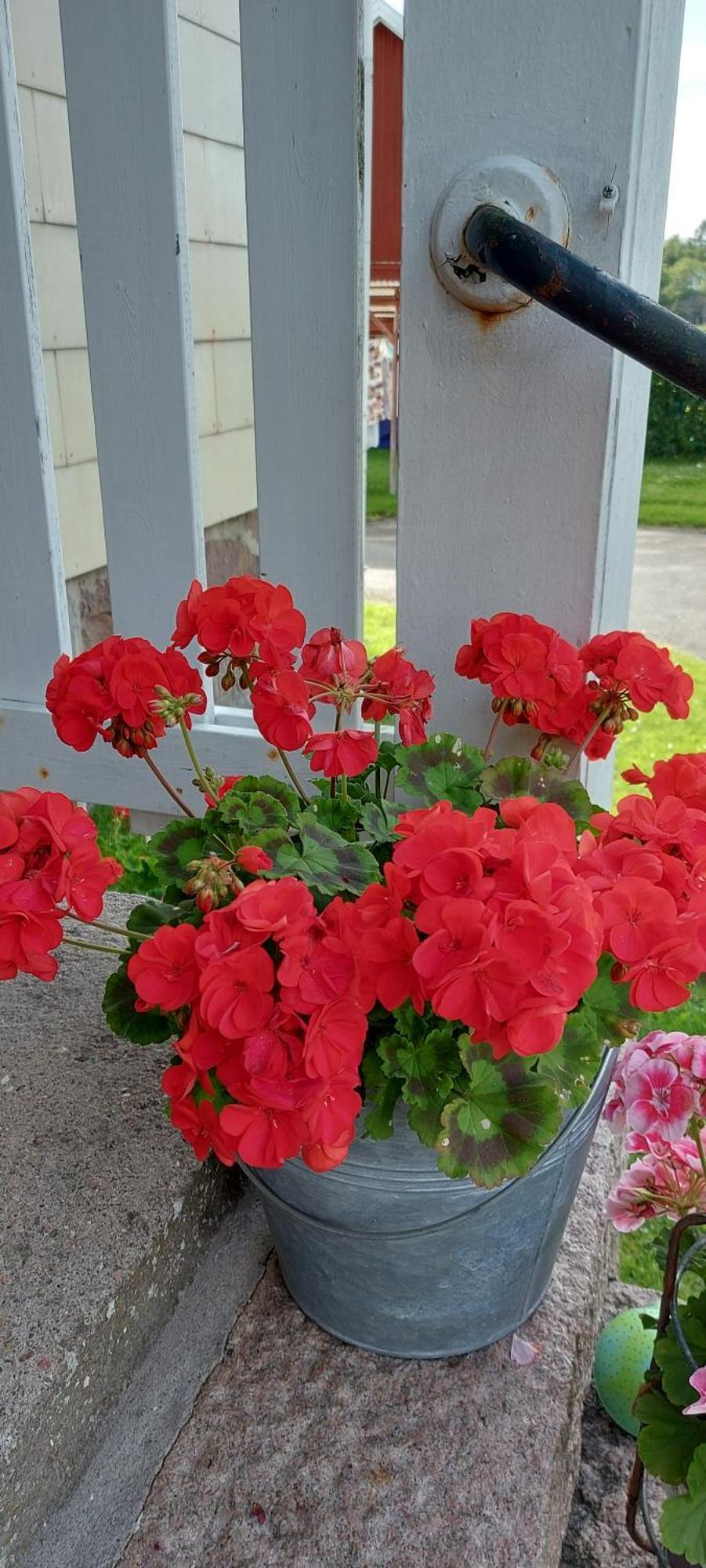 Pilane B&B Langekarr 외부 사진